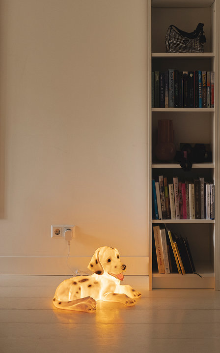 Interieur Anke de Jong in Amsterdam