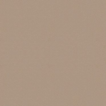 A21 - Champagne