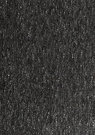 oasis-wenge