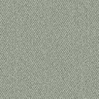 Cyber_ashgrey