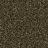 Rhythm_Brown