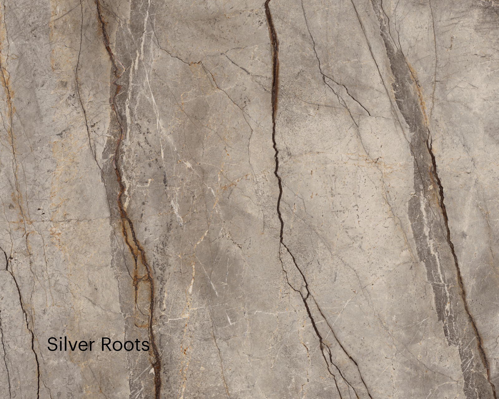 Silver_Roots_1600x1280